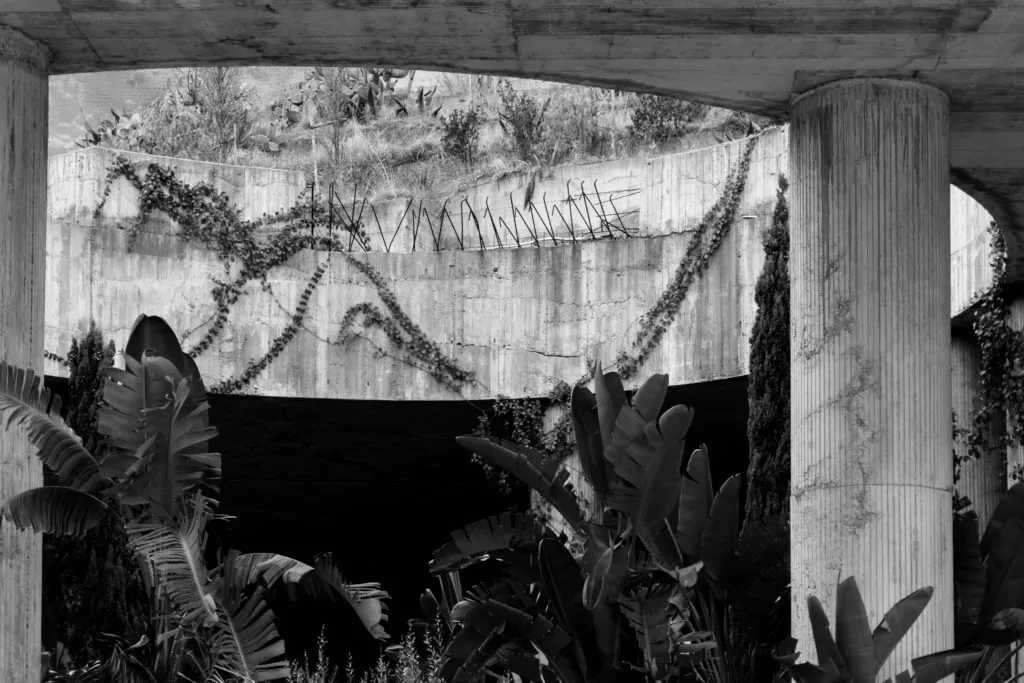 construction with plants software exploitation